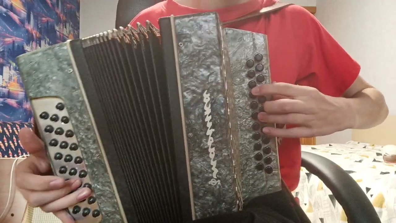 ти ж мене підманула на гармоні. you tricked me on accordion