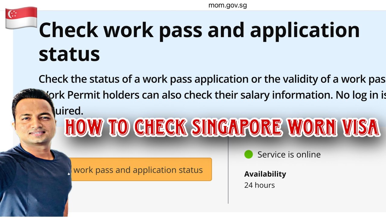 How to check Singapore Work Visa, S Pass, E pass, TEP Visa and more | Singapore Work Permit