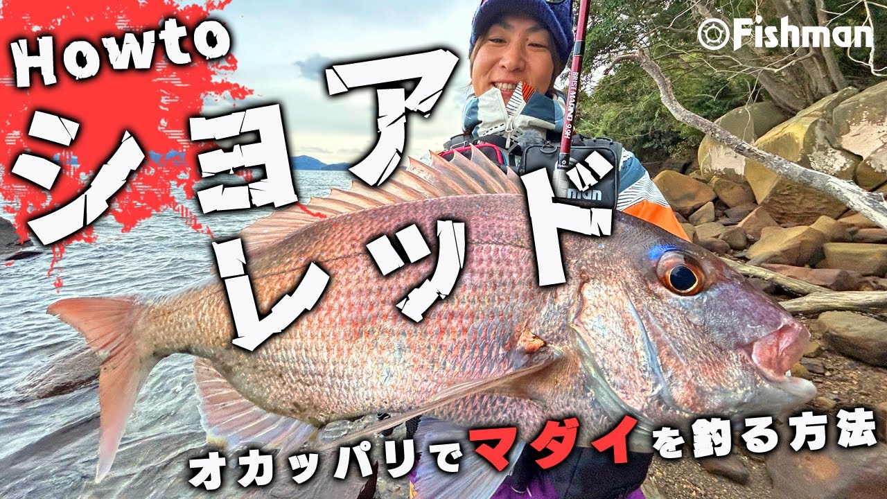 【マダイ】ショアレッドこれで丸わかり！岸から狙うマダイの釣り方/in天草