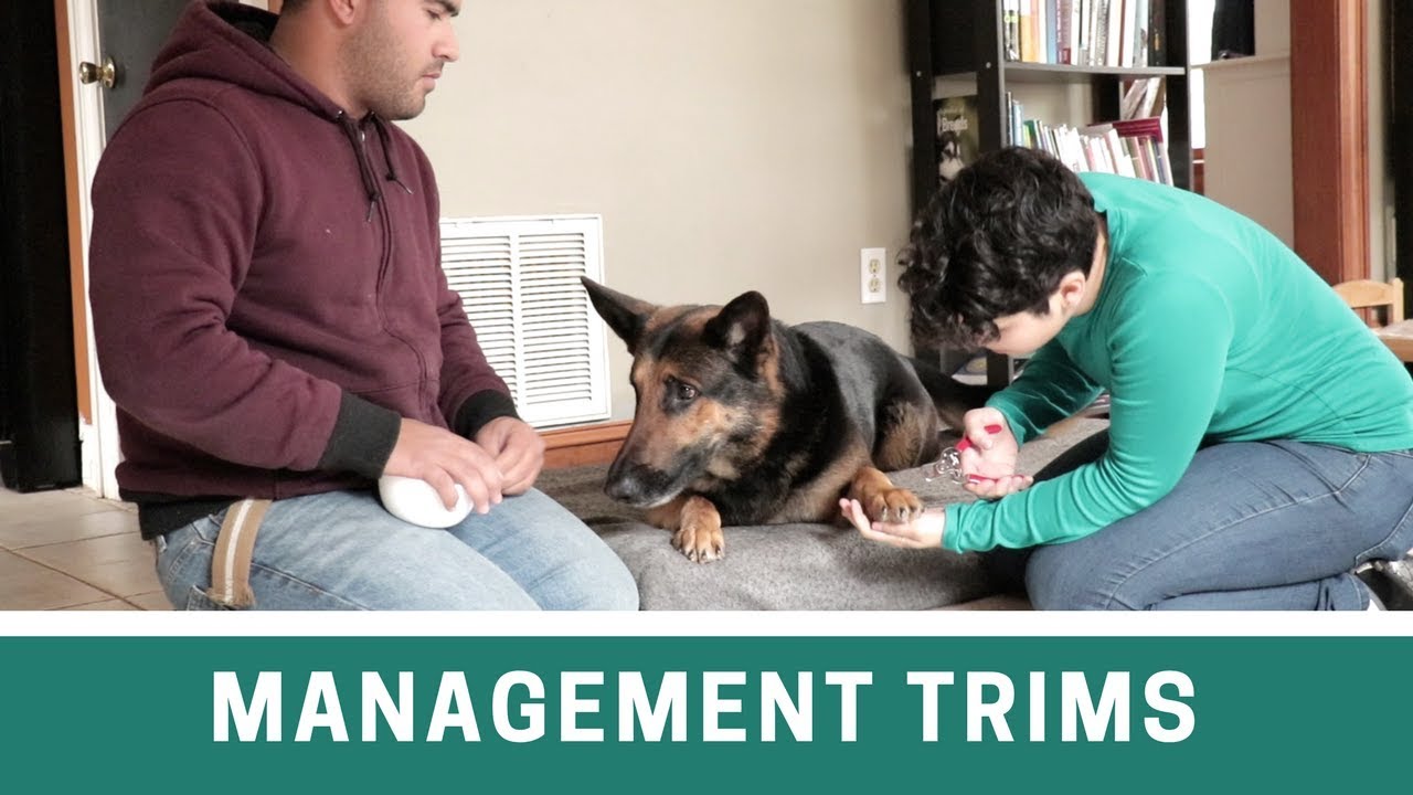 Management Trims
