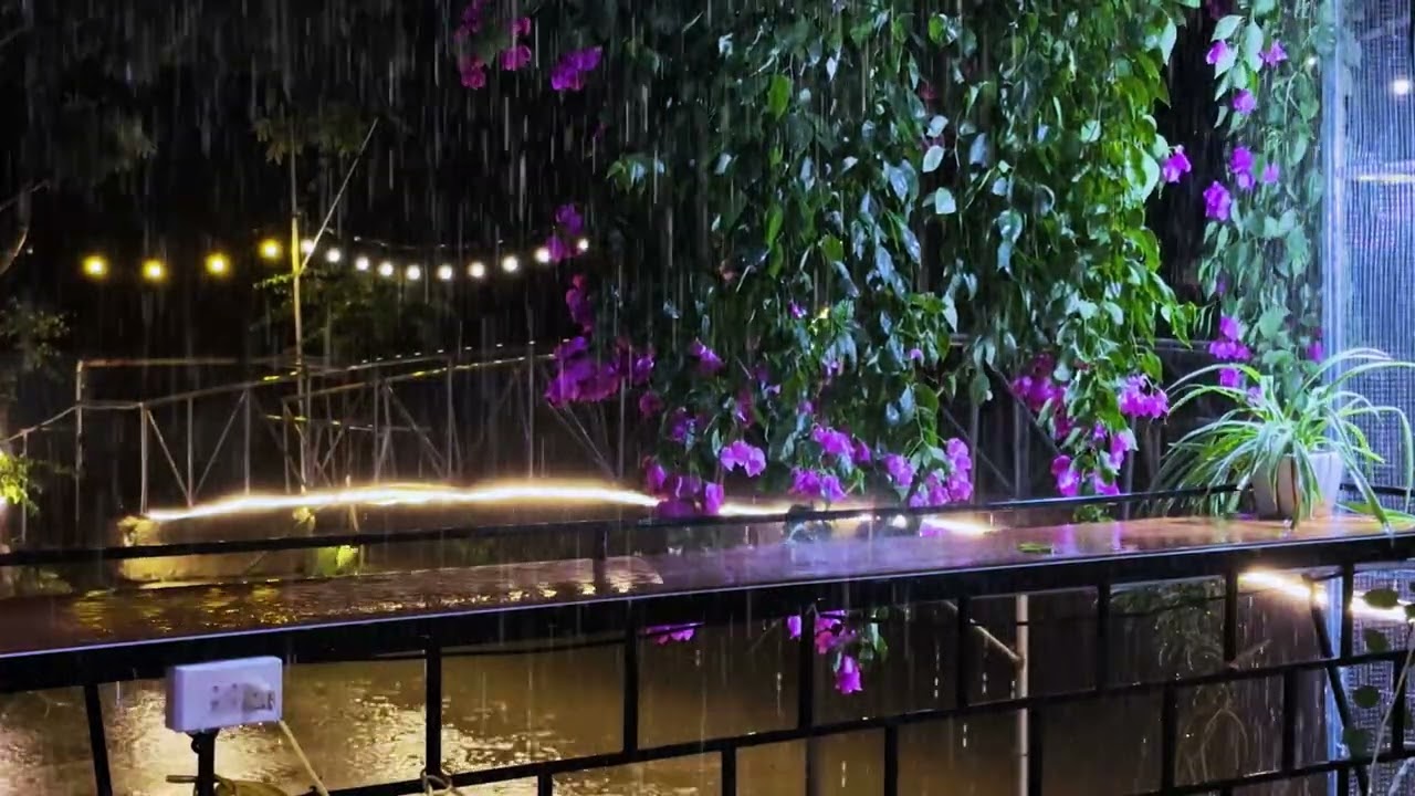 Rain on the tin roof helps you sleep soundly, deeply, and fall asleep quickly.