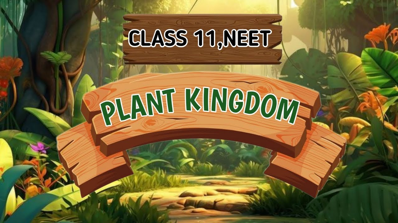 Plant Kingdom |Lecture 1 |Class 11th |NEET 