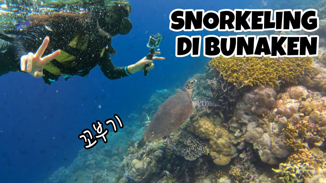 PARADISE TERSEMBUNYI INDONESIA YANG BELUM DIKENAL OLEH ORANG KOREA, BUNAKEN