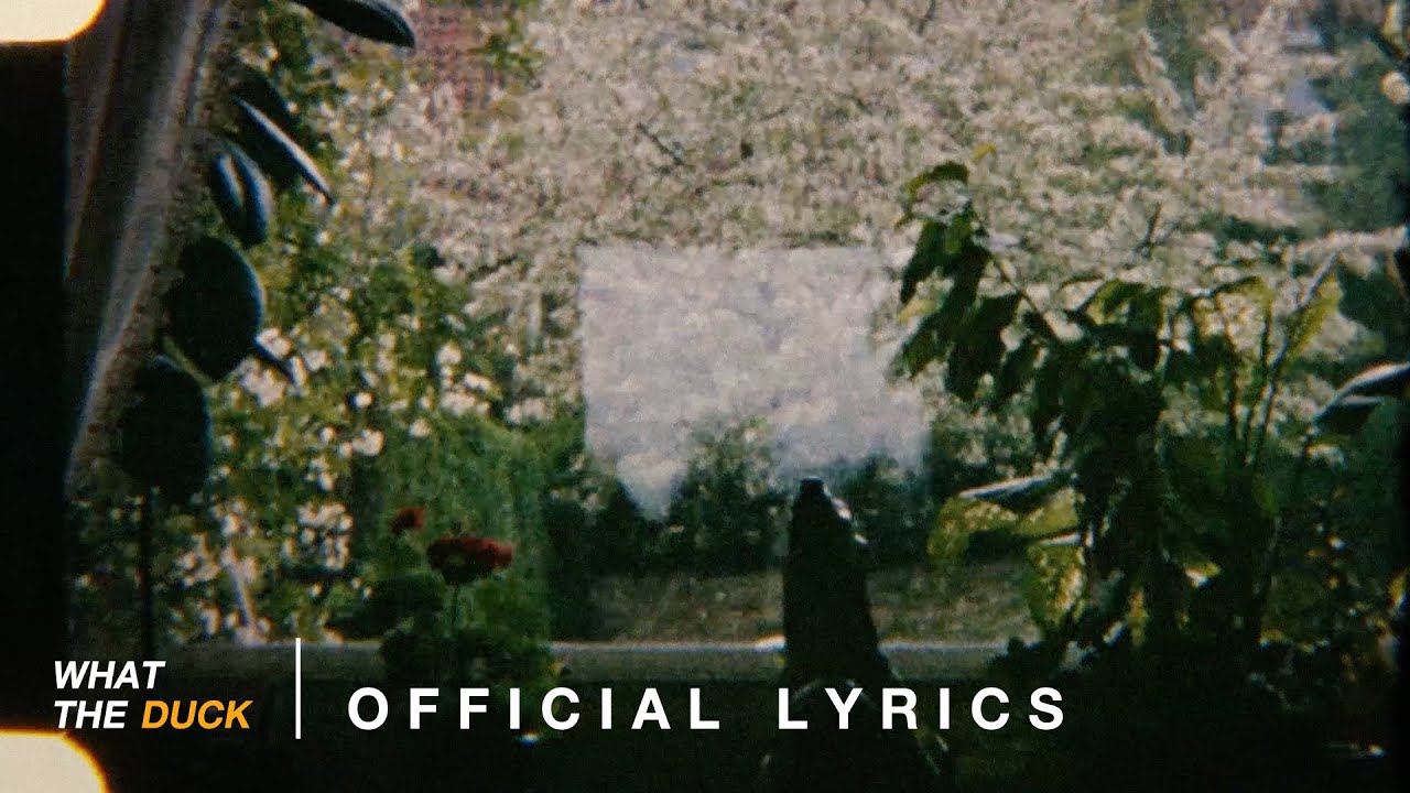 LANDOKMAI ft. James Alyn - Blooming (เพลงรักเพลงแรก) [Official Lyrics]