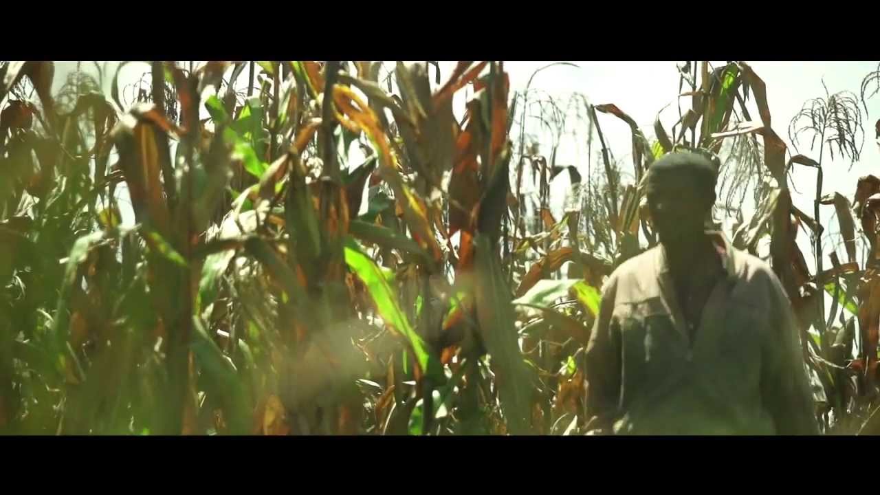 Partnerships in Seed Sector Development in Ethiopia  (Short Version)