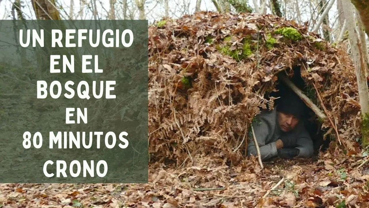 Cómo construir un refugio de supervivencia sin herramientas en solo 80 minutos