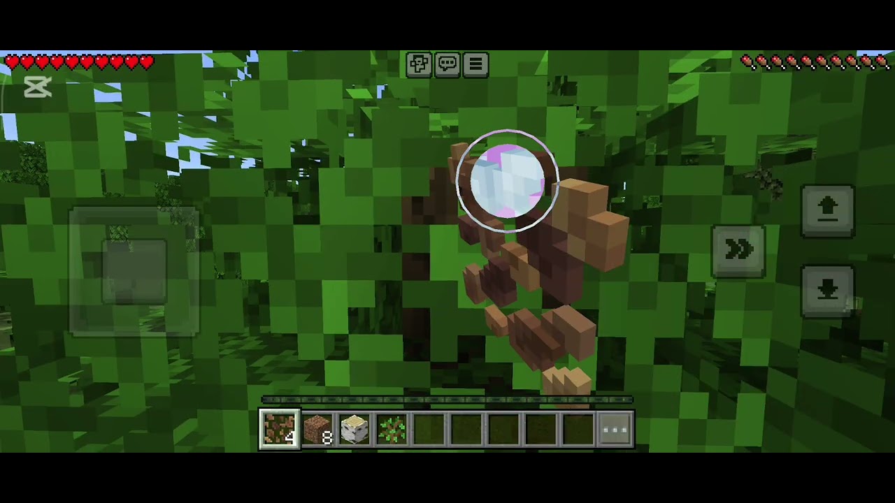 Minecraft oynuyoruz 