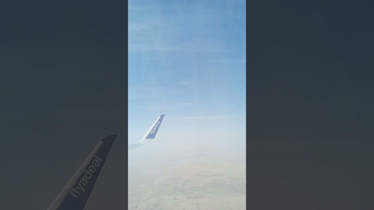 ١١ فبراير ٢٠٢٦