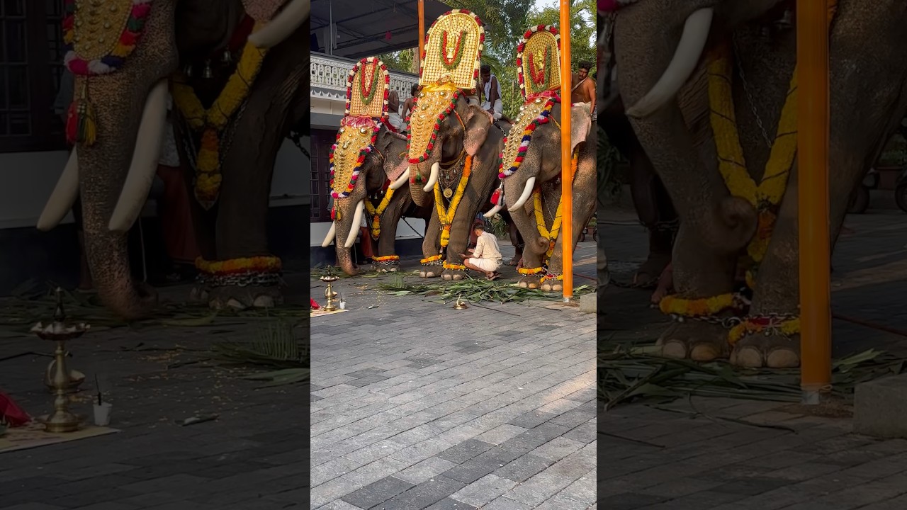 പകൽപ്പുരം ആരംഭം /