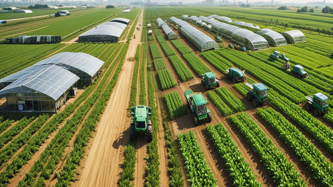 MODERN SMART FARMING in China: Technology Reshaping the Fields