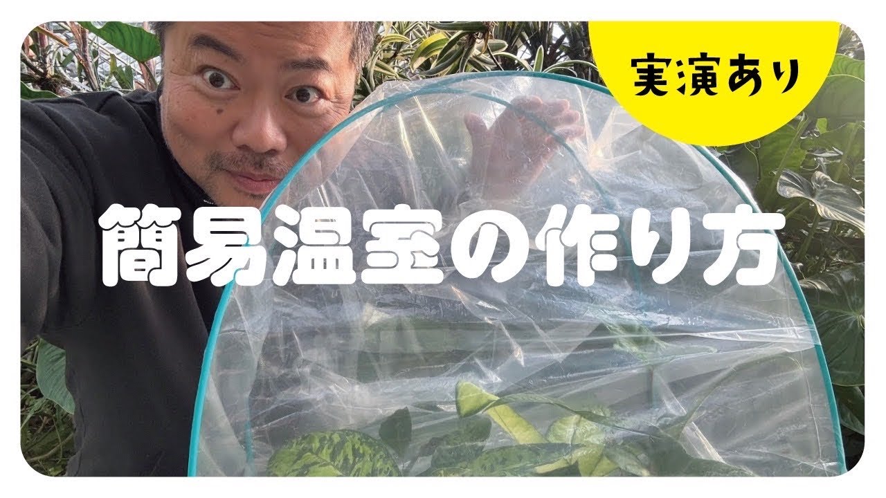 【作業動画】簡易温室の作り方とその注意点を解説