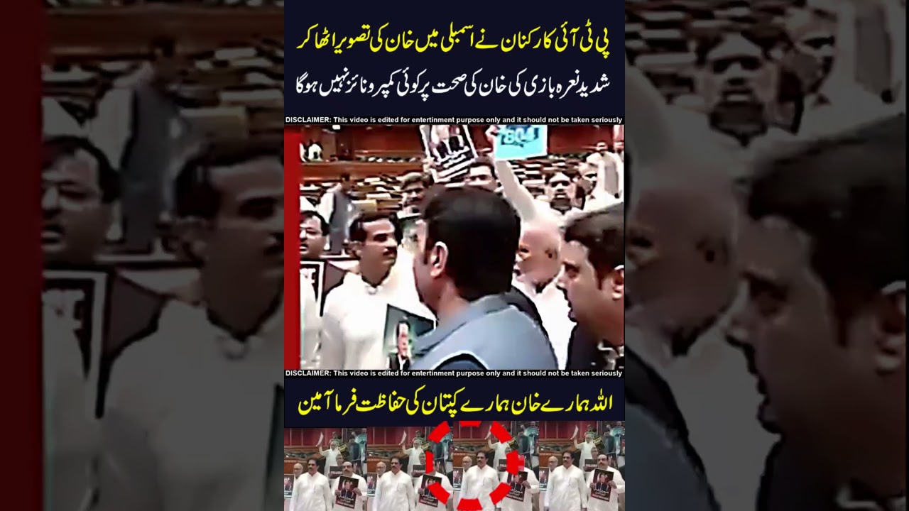 Pti karkun vs patwarii😱😱#pti #pmln #imrankhan