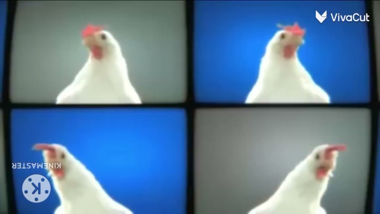 Ok