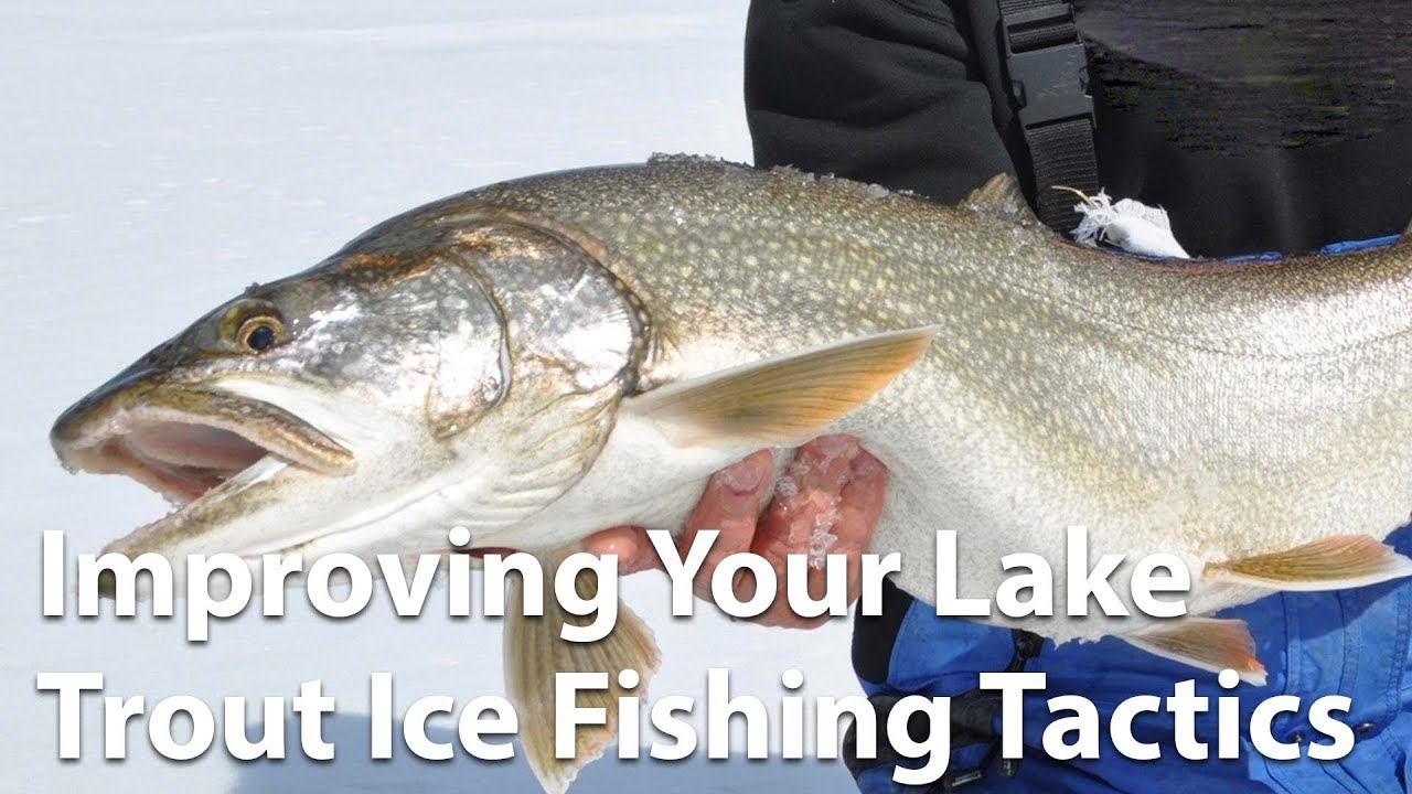 Webinar: Improve Your Lake Trout Ice Fishing Tactics