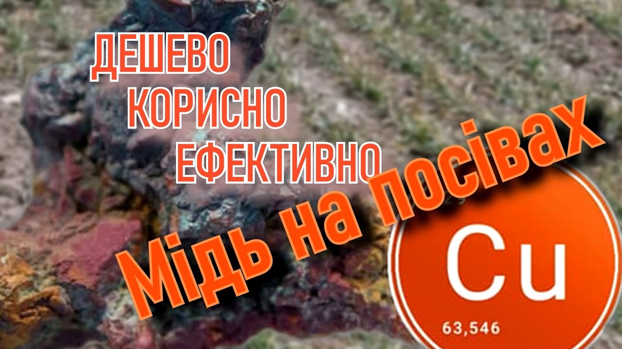Мідь на посівах. Дешево. Корисно. Ефективно.