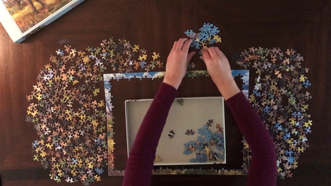 Relaxing/Satisfying 500-piece Jigsaw Puzzle Time Lapse - Elephants