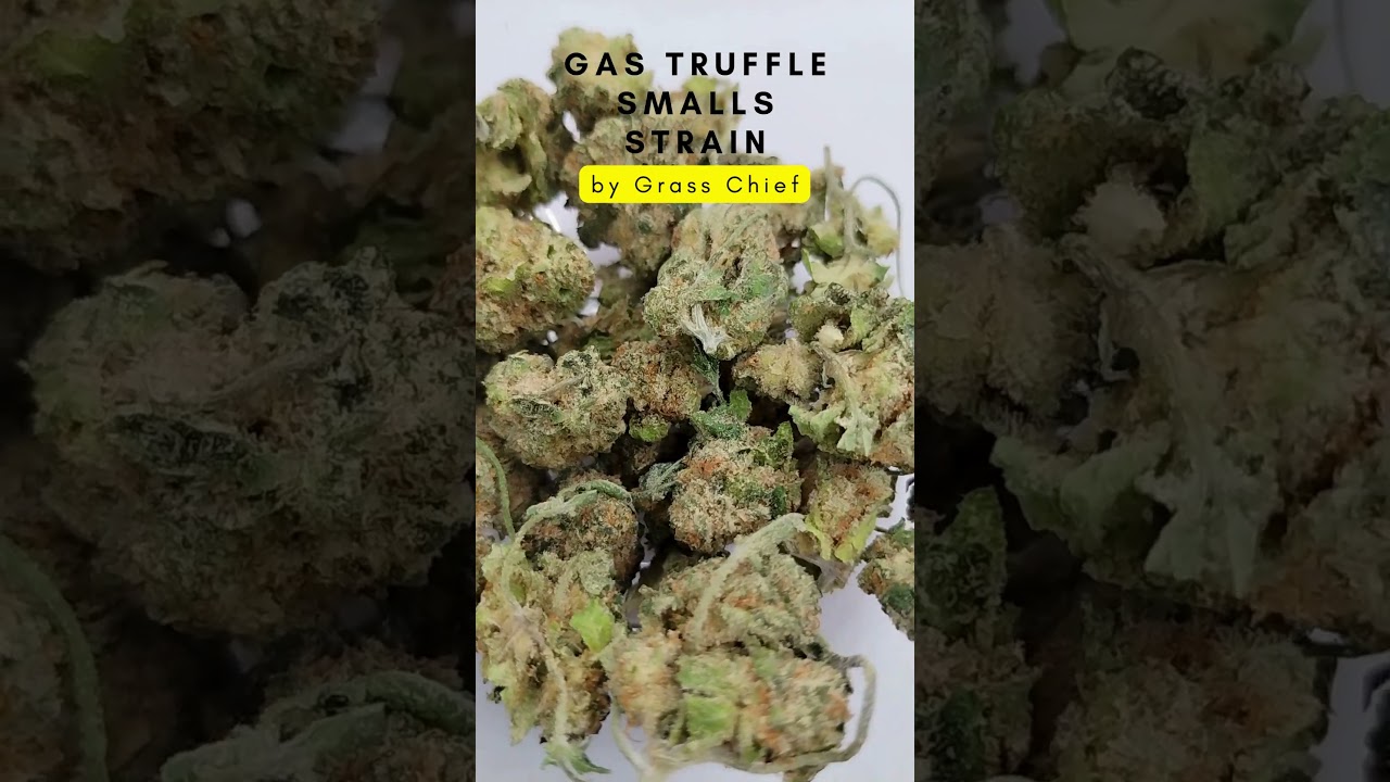 Gas Truffle Smalls by Grass Chief