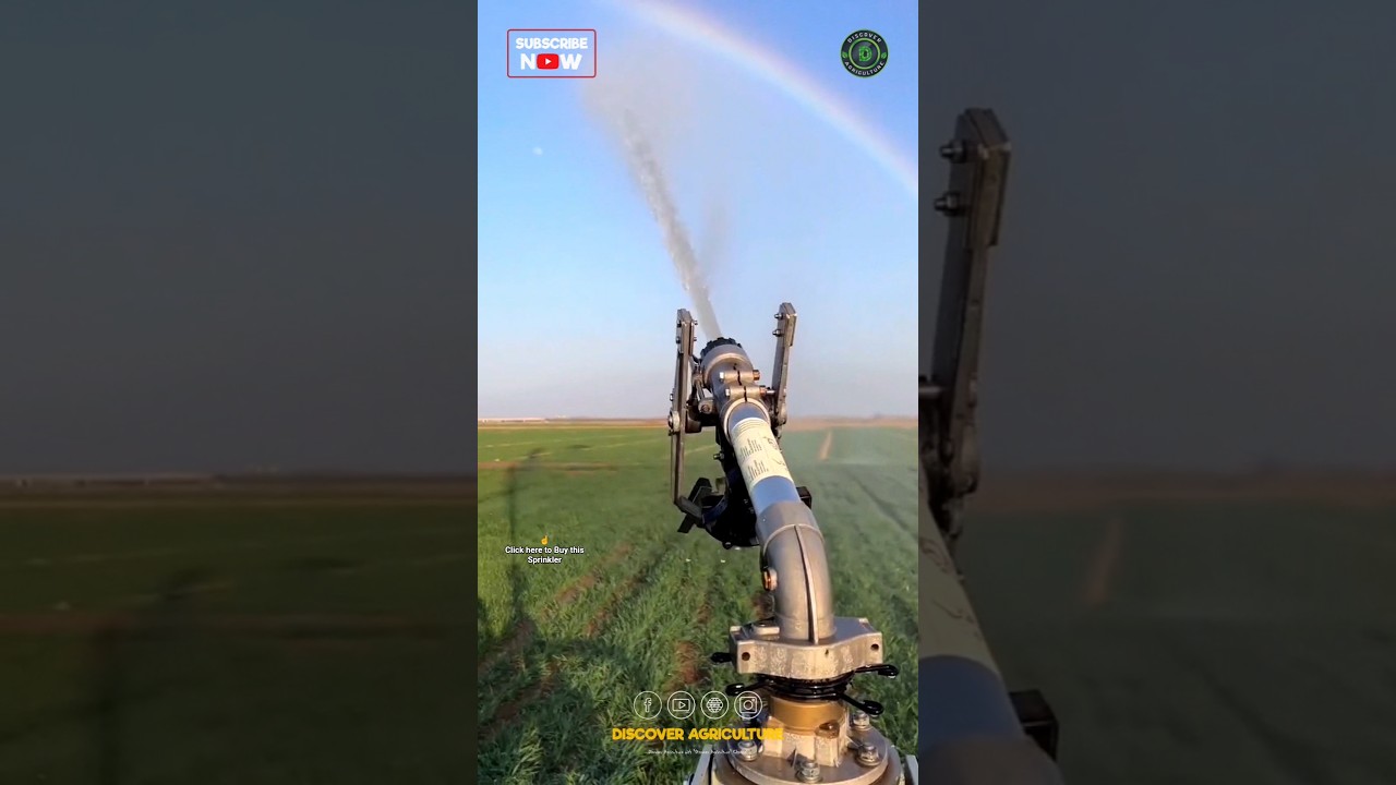 Amazing Rain Gun Sprinkler Irrigation System