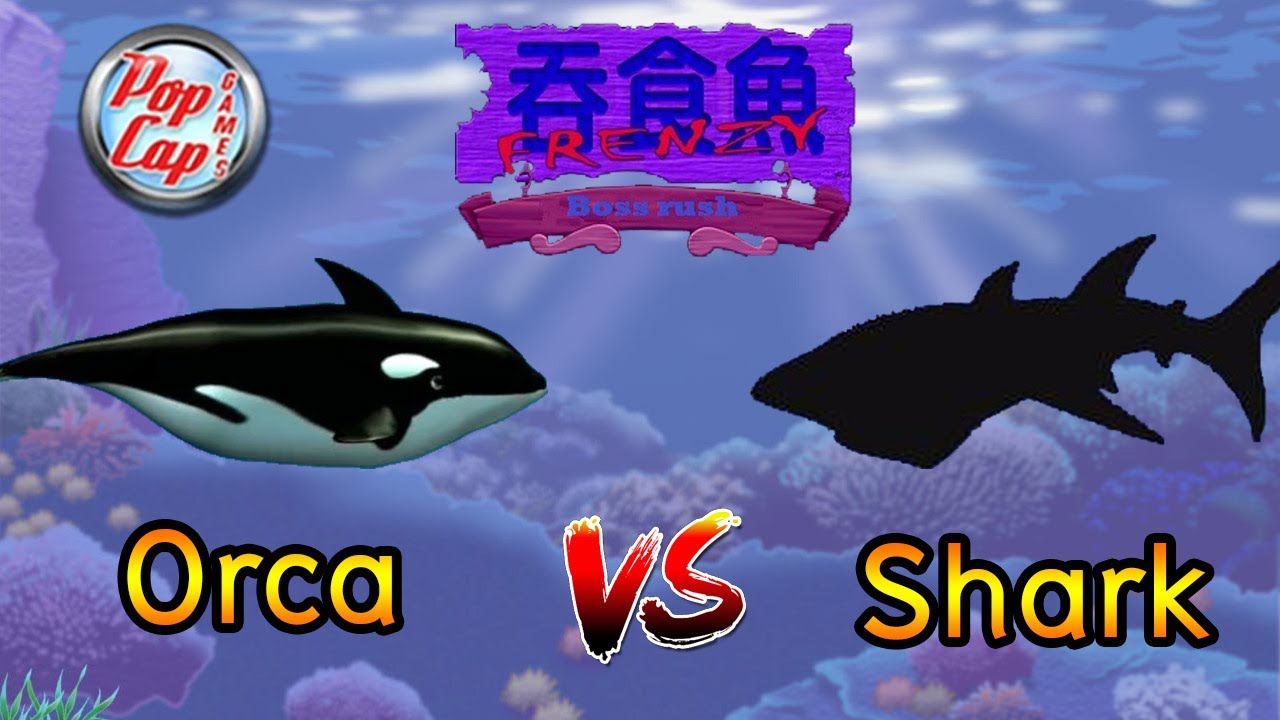 Feeding Frenzy 2 Mod Boss Rush Orca VS Shark (Down to Fish-Ness High Quality)