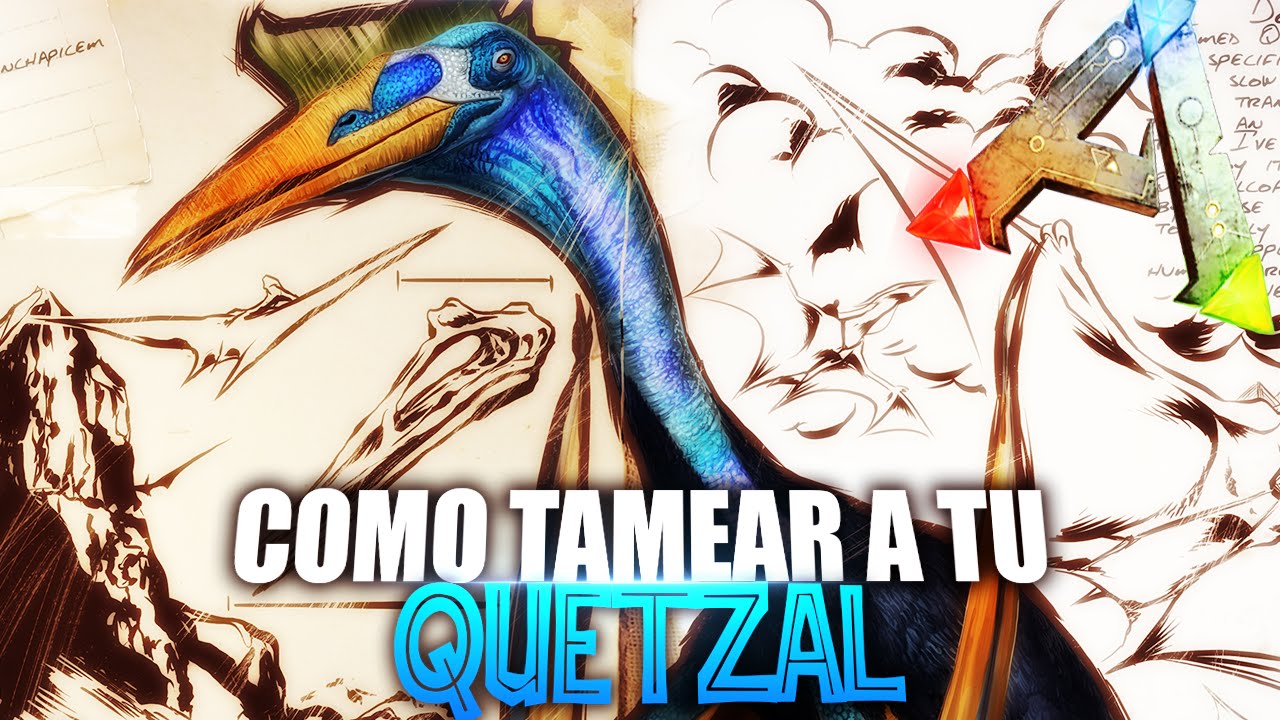 COMO TAMEAR A TU QUETZAL SOLO | Guia Español | Ark: Survival Evolved