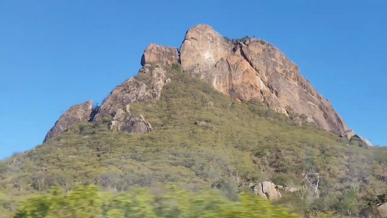 Uma viagem pelas paisagens de árvores,  estradas simples e o silêncio que só o Nordeste  oferece.