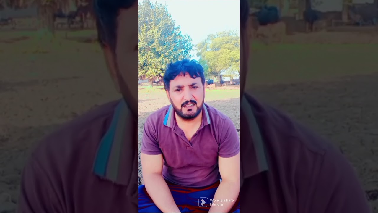 Anjum saroya Funny videos