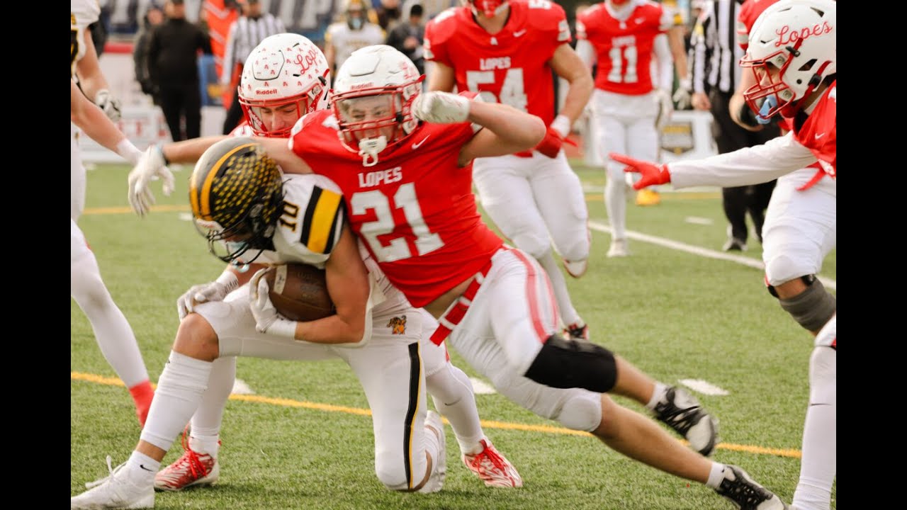 Northwestern Lehigh Tigers Avonworth Antelopes Football 2024 PIAA State Championship