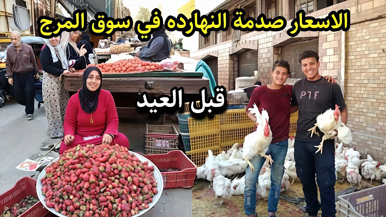 اسعار الفراخ والرنجة اليوم في سوق المرج 😱 قبل العيد صدمه مش هتصدقها والطماطم كارثة 