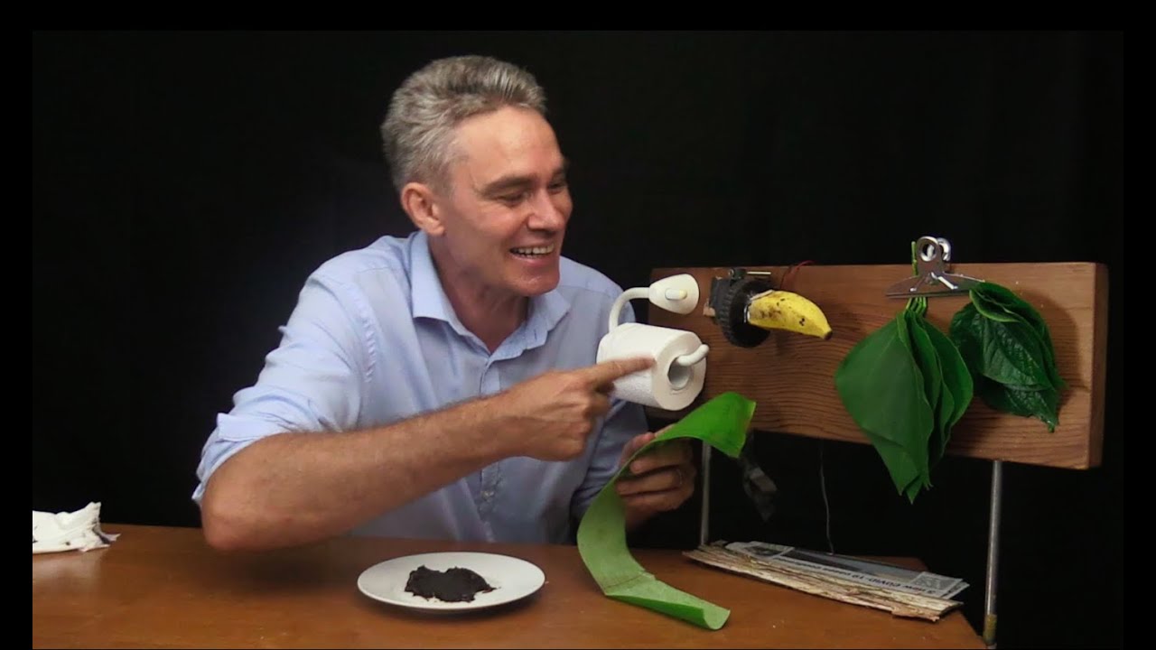Science Teacher Tests out some different alternatives to Toilet Paper