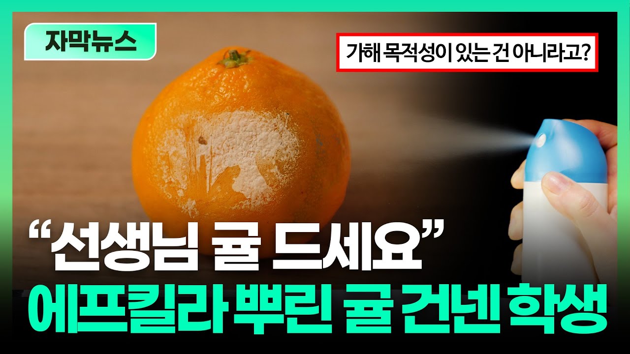 &rsquo;살충제 뿌린 귤&lsquo; 교사에게 건넨 여학생.. 선 넘는 교권 침해, 어디까지ㅣTBC 자막뉴스