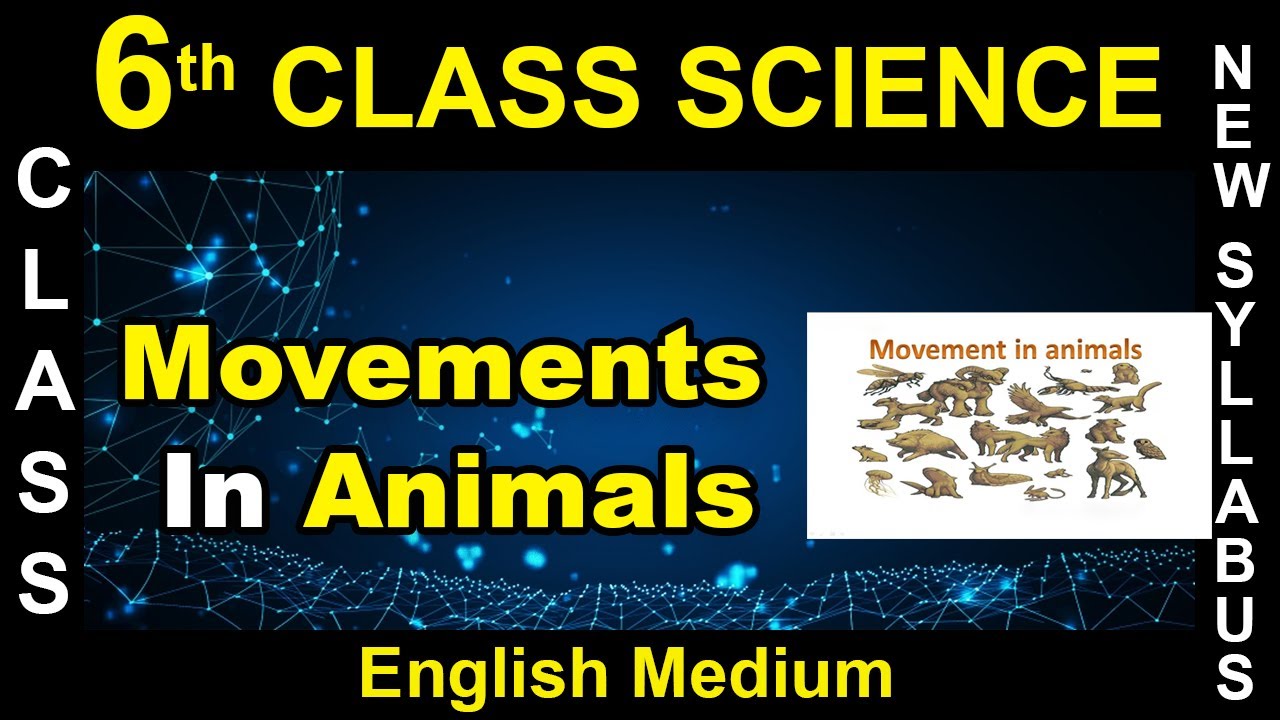 6st Class || English Medium || Science || Movements In Animals || 2020  New Syllabus Digital Teacher