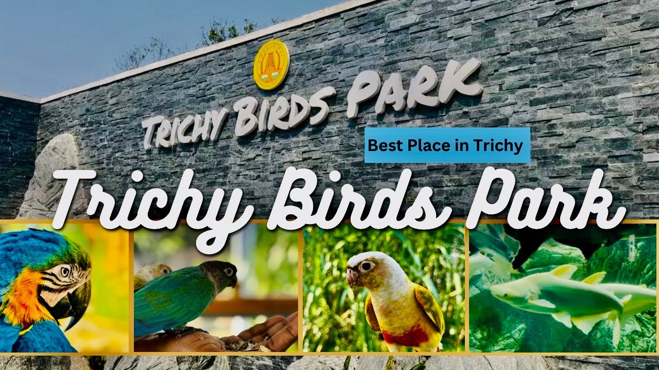 Trichy Birds Park Complete Guide | Tickets, Timings & Experience 🌿 😍 🦜🐦 #trichy #youtube 