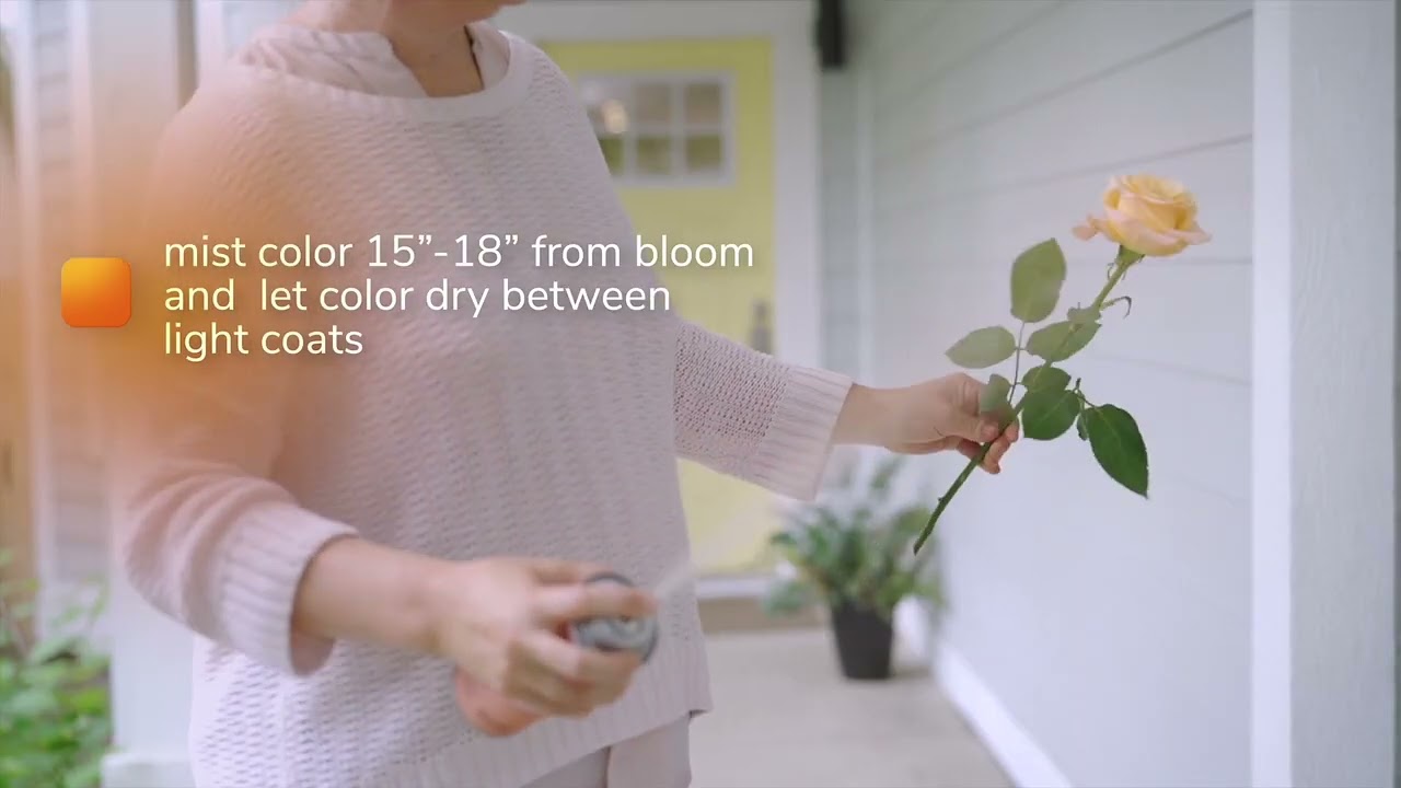 Coloring Fresh Flowers, The Basics