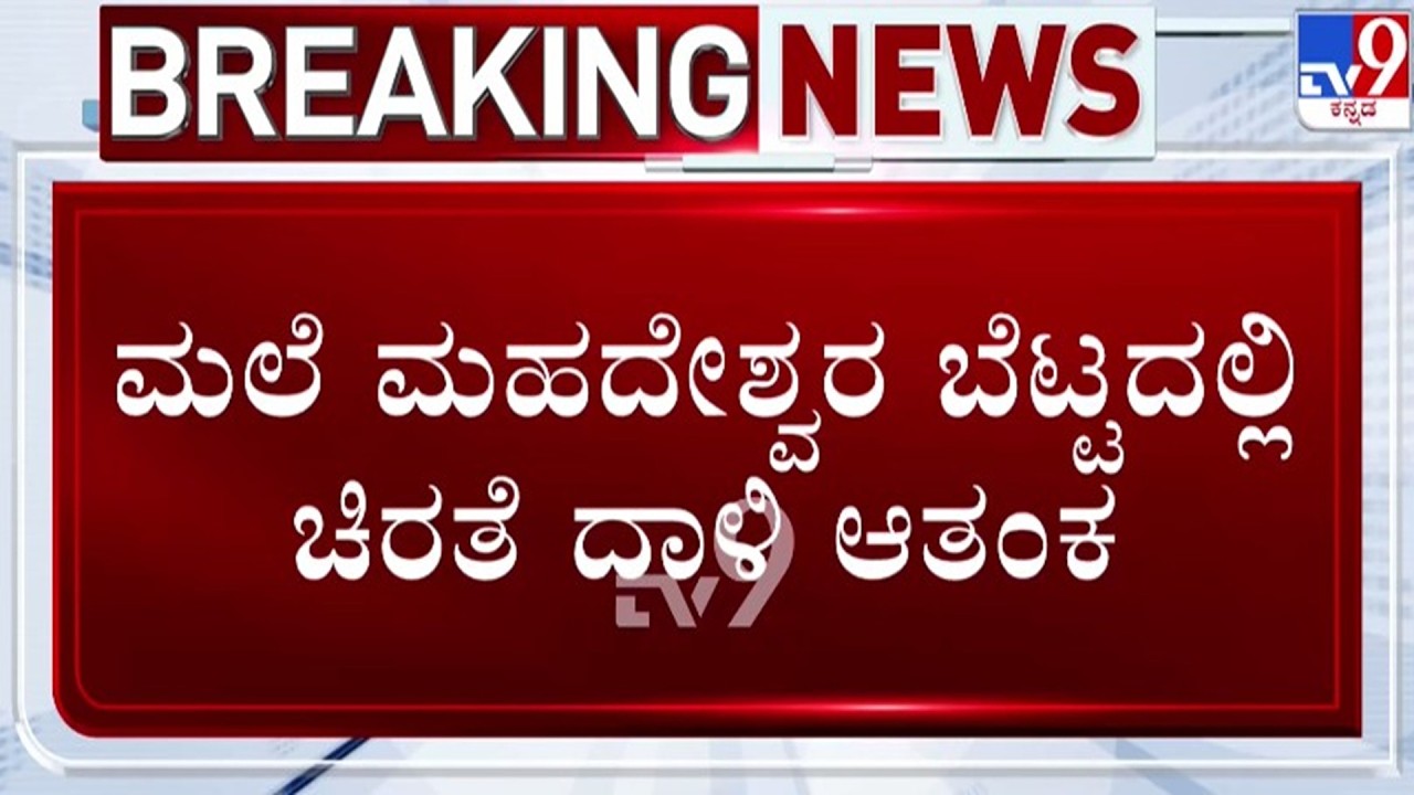 🔴 LIVE | Male Mahadeshwara Paadayatre : ಮಲೆ ಮಹದೇಶ್ವರ ಬೆಟ್ಟದಲ್ಲಿ ಚಿರತೆ ದಾಳಿ ಆತಂಕ | #tv9d