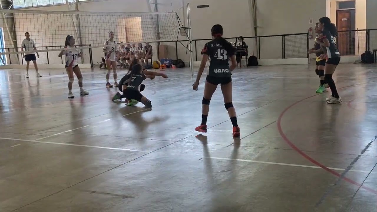 aficionadovoley25-01-2026FalcondeMaipusub14vsLinaressub14semifinalcampeonatoLinares