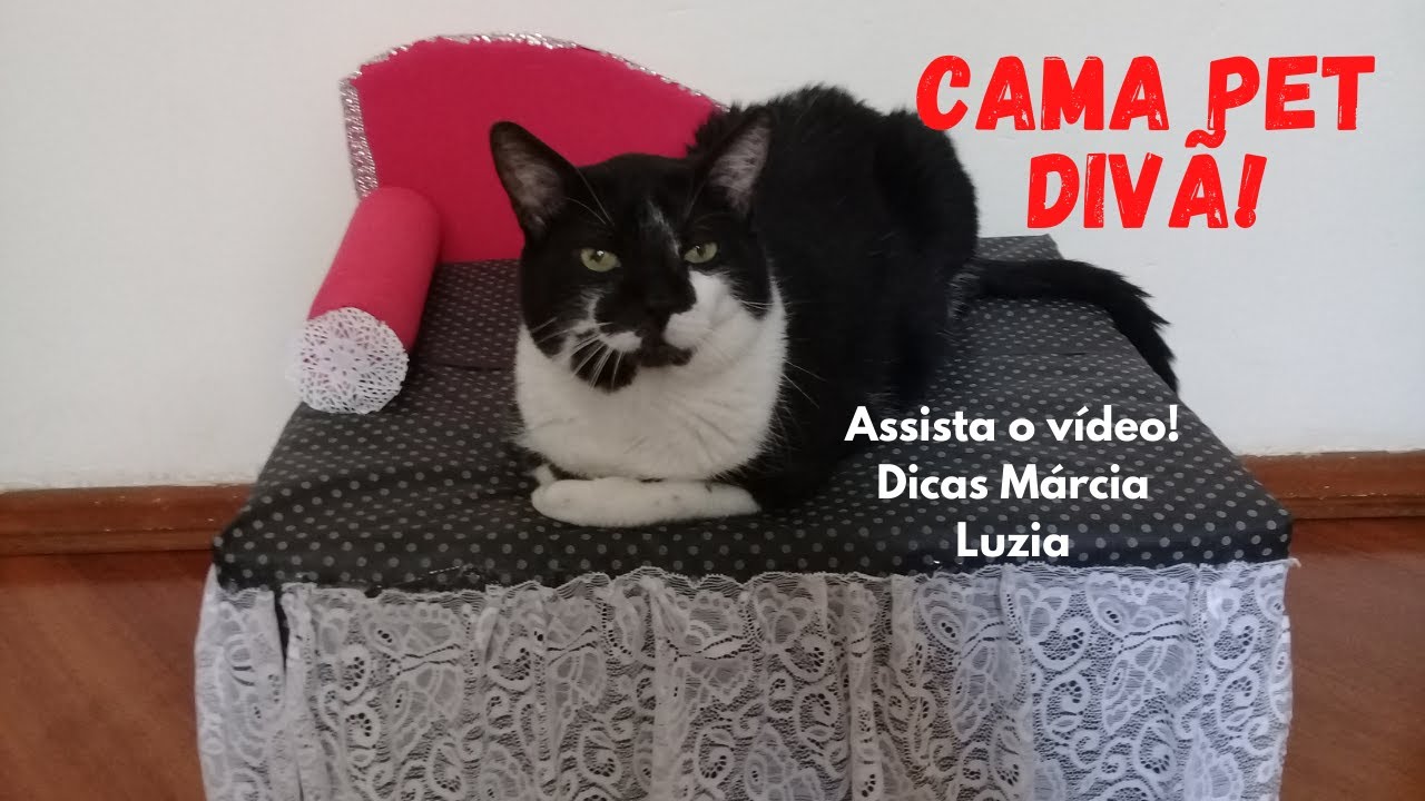 CAMA PET ESTILO DIVÃ COM CAIXA DE PAPELÃO!! #recile #reciclagem #caixadepapelão
