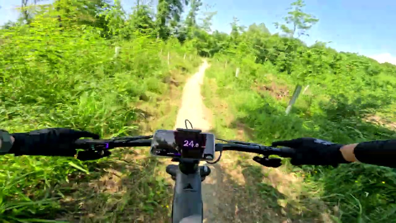 31/05/2025 Gempen Nord trail 1st round