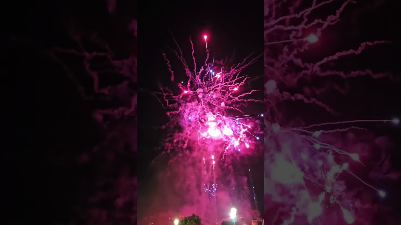 Sant Antoni del Porquet 2026 