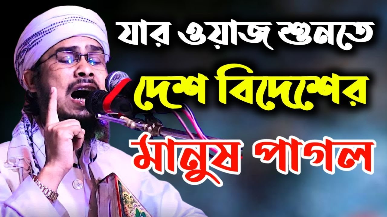 দেশ বিদেশের মানুষ যার ওয়াজ শুনতে পাগল | মাওলানা বজলুর রহমান মিজান