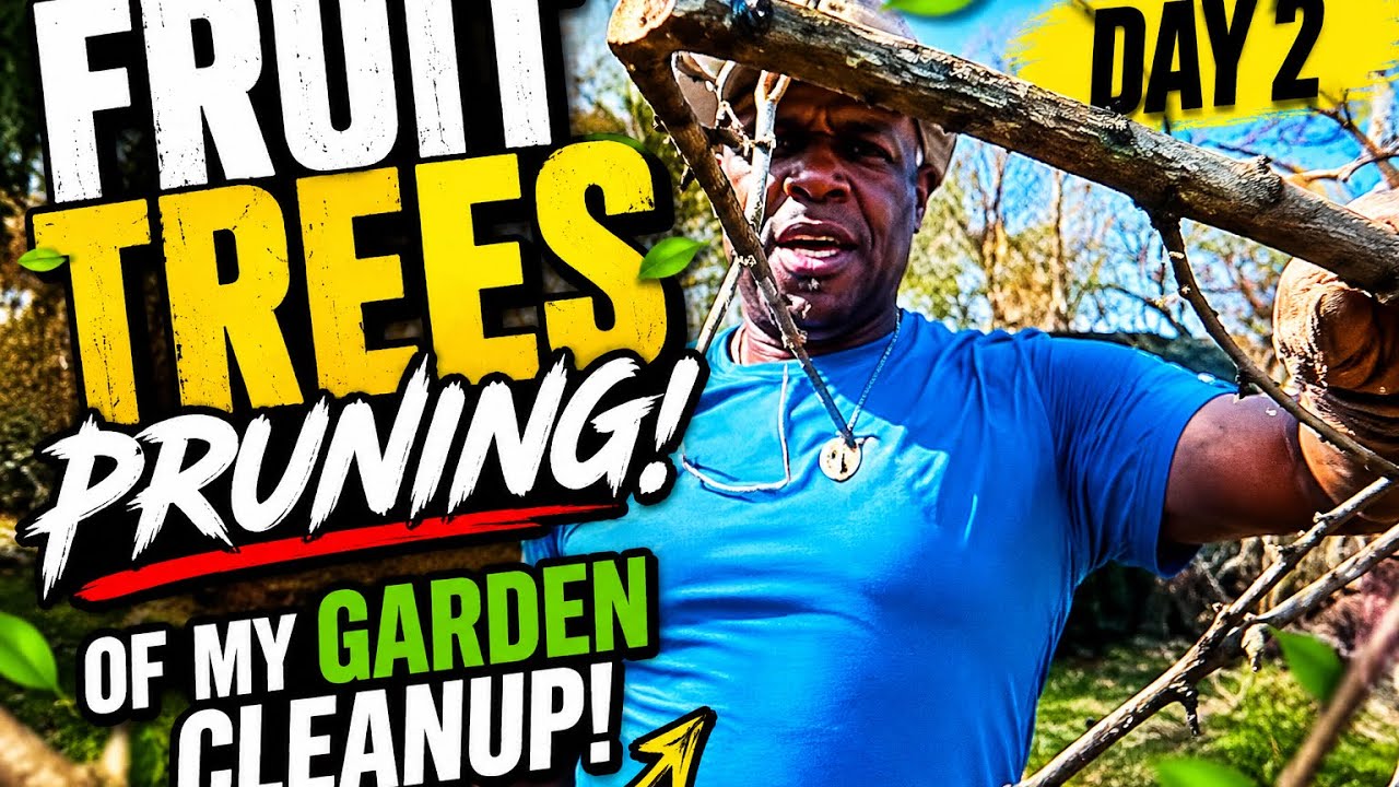 Fruit Tree Pruning: Day2 of my Garden Cleanup
