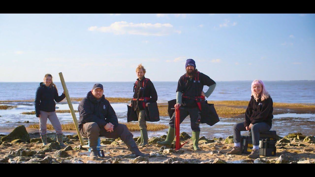 Restoring Yorkshire's lost seagrass meadows