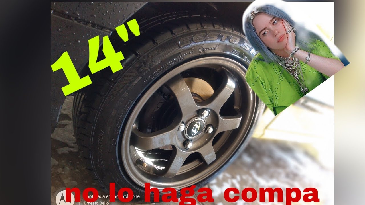 Rines 14