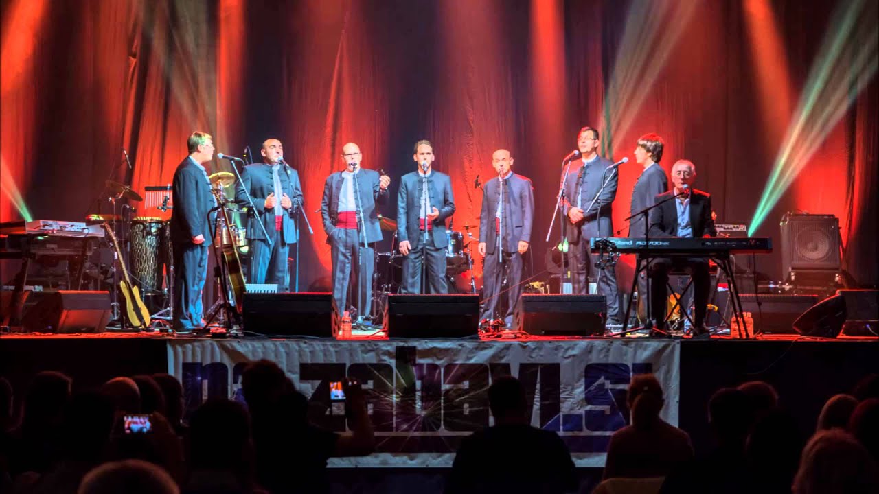 Klapa Dalmari - Ružo moja crvena