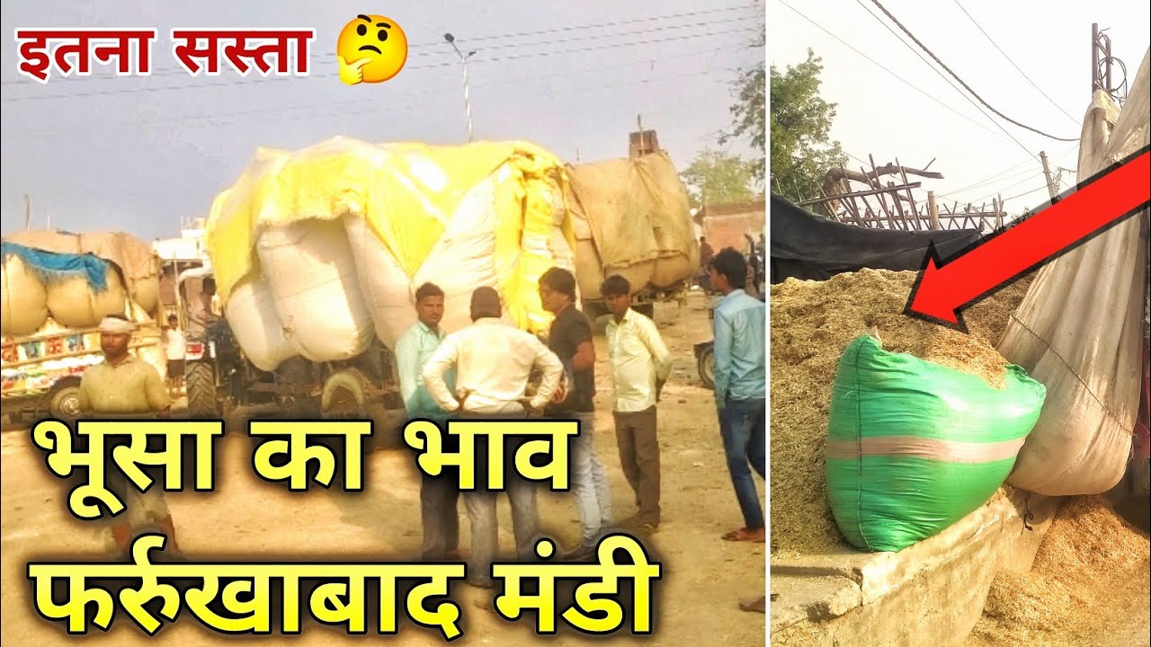 भूसा का भाव फर्रुखाबाद मंडी | bhusa ka bhav farrukhabad mandi