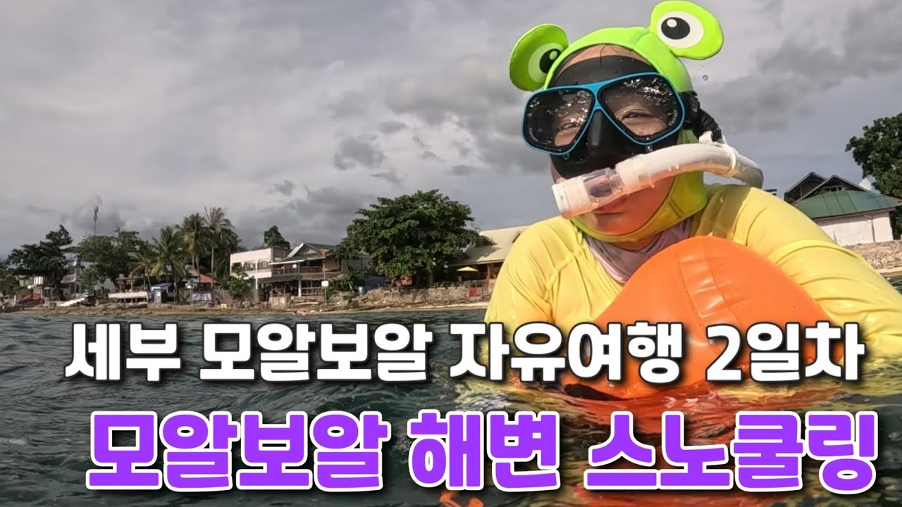 세부 모알보알 자유여행 w 초등 아들 2일차 : 모알보알 택시 이동-뚤로미르 체크인-모알보알 해변 스노쿨링/프리다이빙-일몰 감상-로컬 꼬치구이