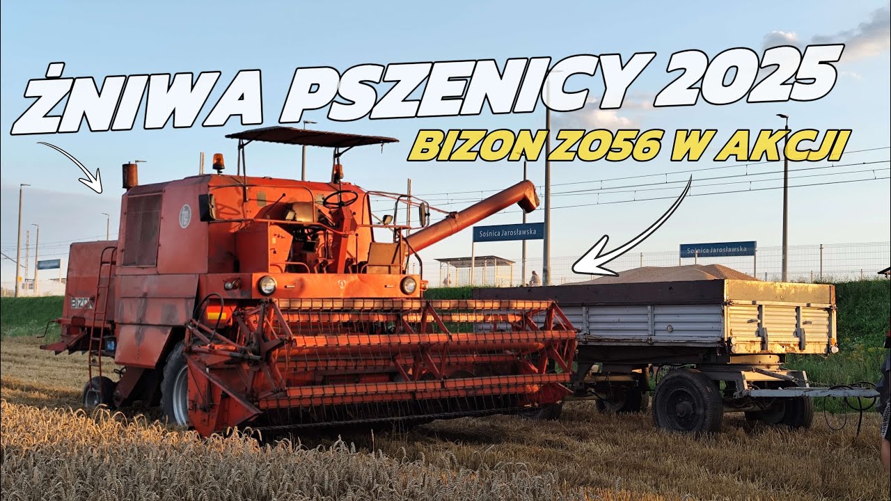 🇵🇱 ŻNIWA 2025 W POLSKIM STYLU! ✔ RYK BIZONA Z056🔥✰ PSZENICA POD KOSĘ ✰ GR Gerczak & GR Przybyła ✰