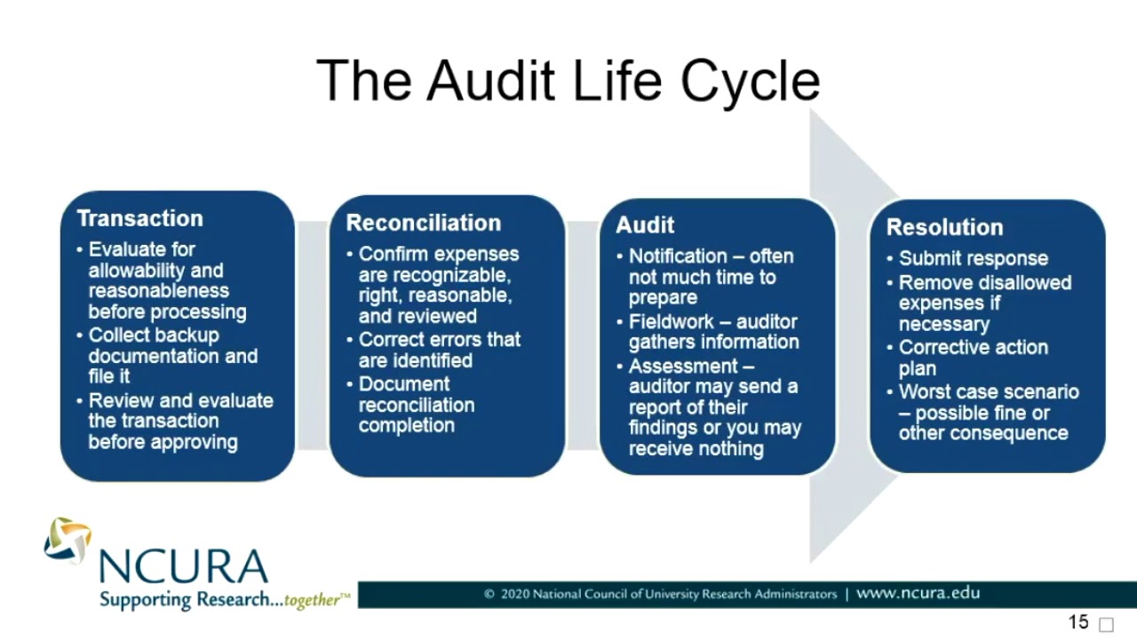The Audit Lifecycle