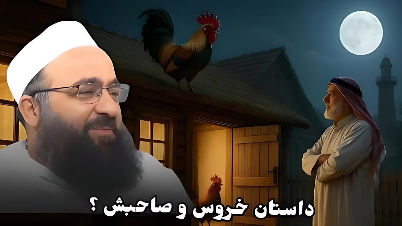 داستان طنزآمیز خروس و صاحبش 🥹 مولانا بهزاد فقهی ✓