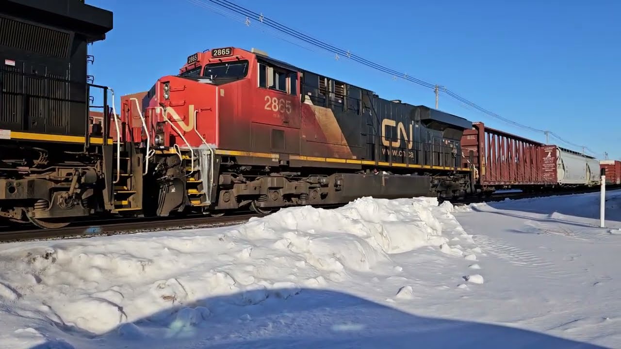 CN A441