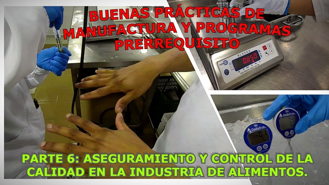 BUENAS PRÁCTICAS DE MANUFACTURA  PARTE 6: CONTROL DE LA CALIDAD EN LA INDUSTRIA DE ALIMENTOS.